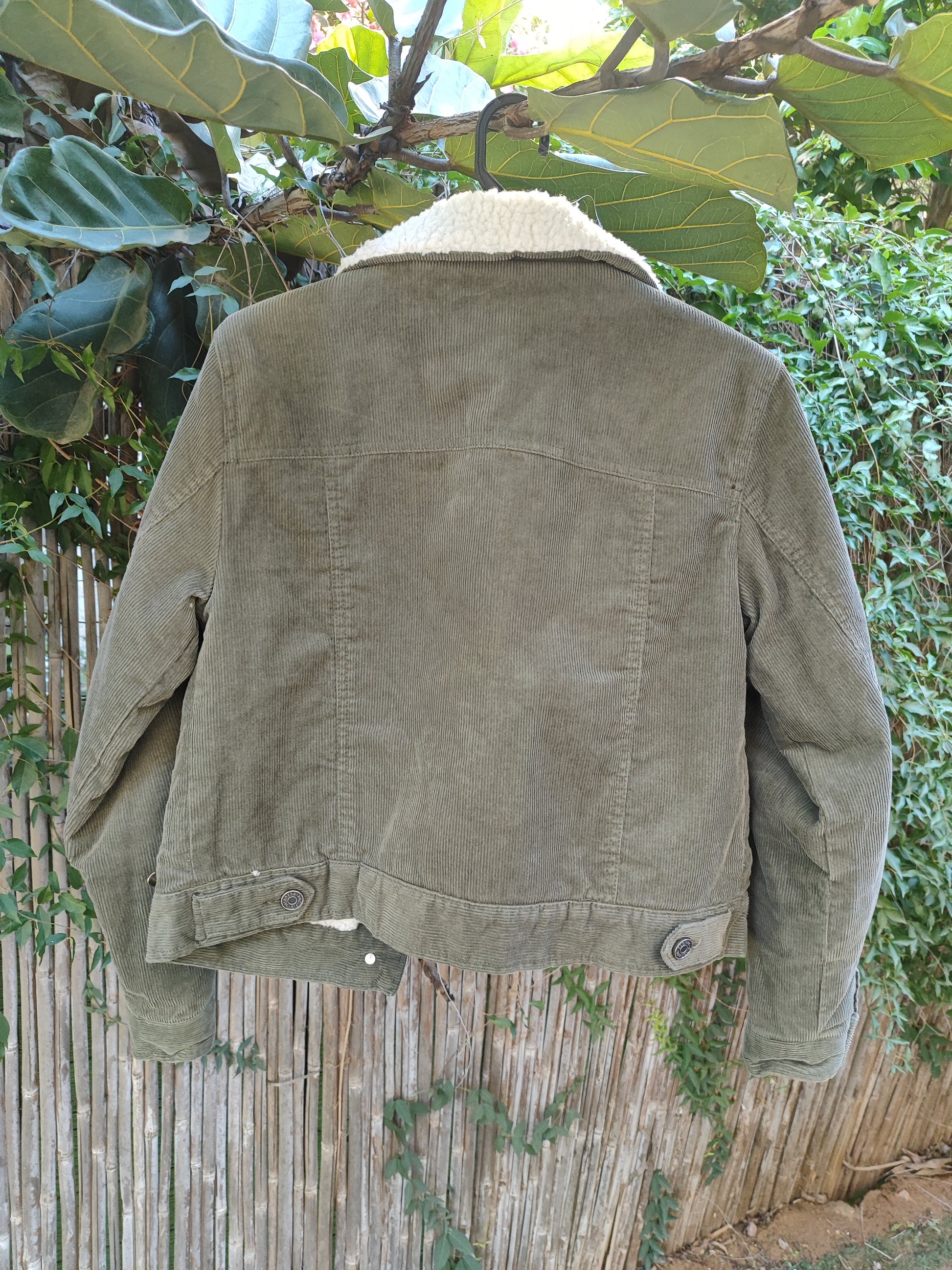 ג׳קט קורדרויי ירוק חאקי פרוותי פנימי  - Image 5 by Pacific Republic