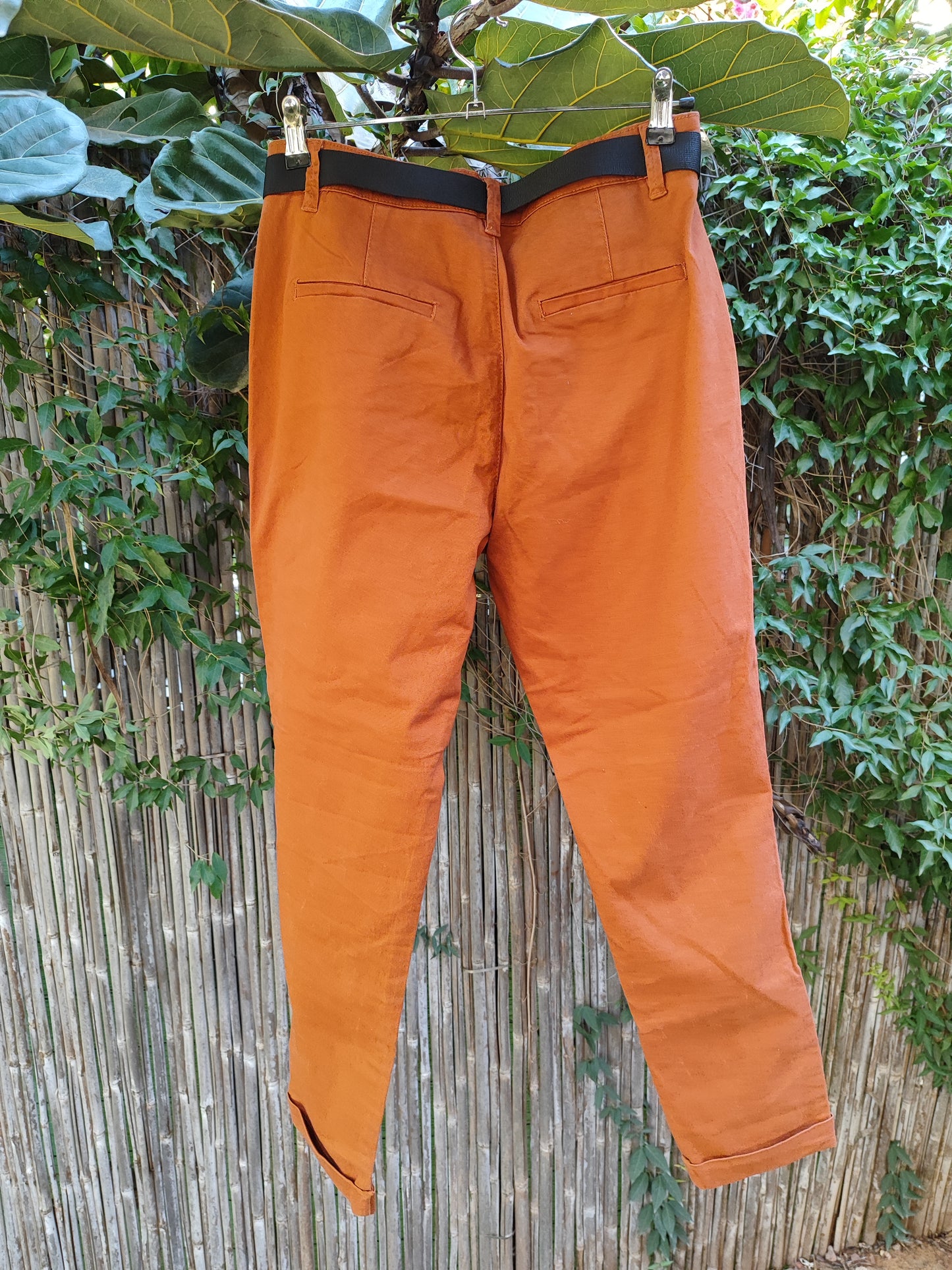 מכנסי קז'ואל בפנסים בצבע חמרה  - Image 2 by Castro