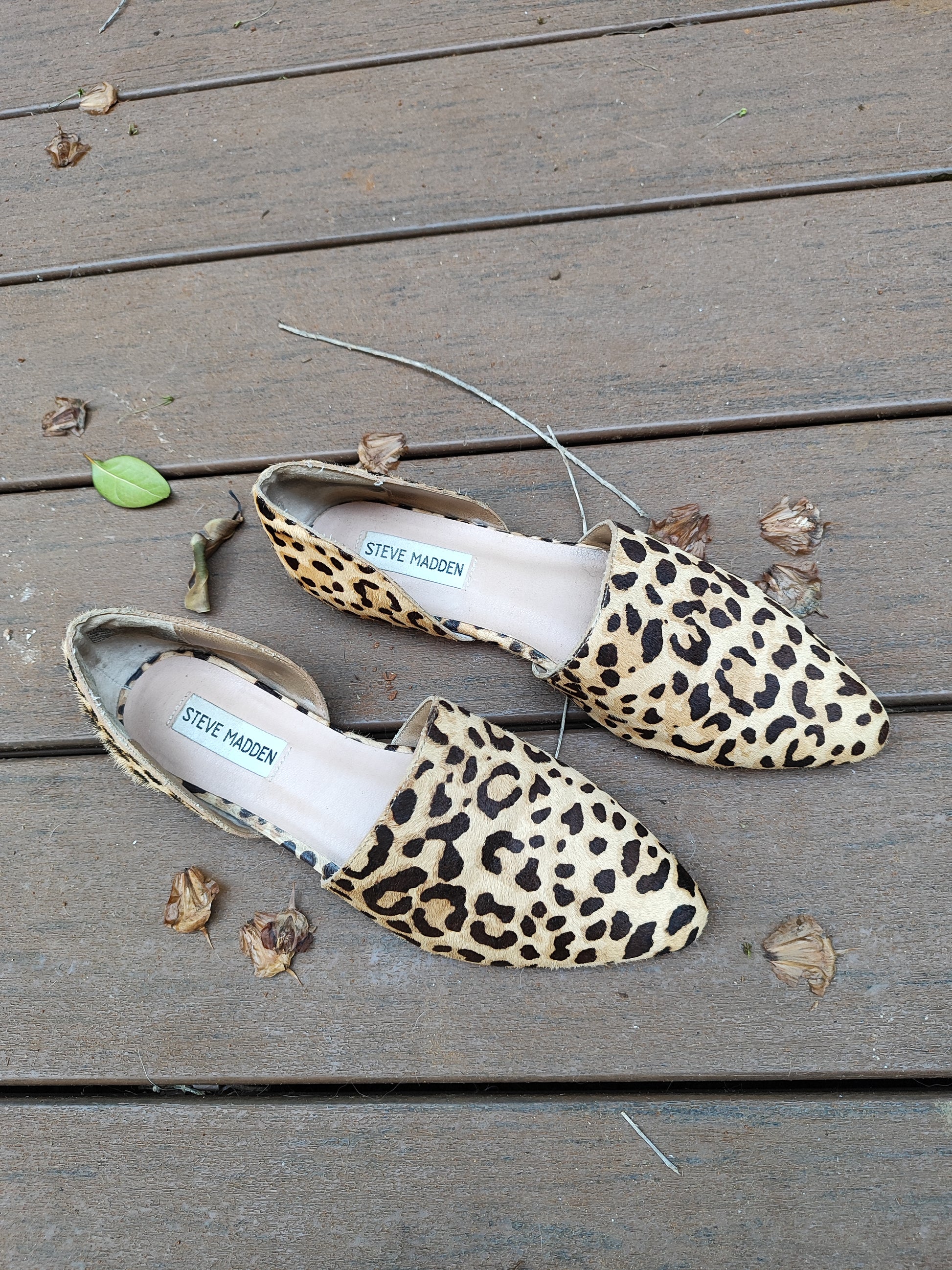 נעלים מנומרות שטוחות מאווררות באמצע - Image 5 by Steve Madden