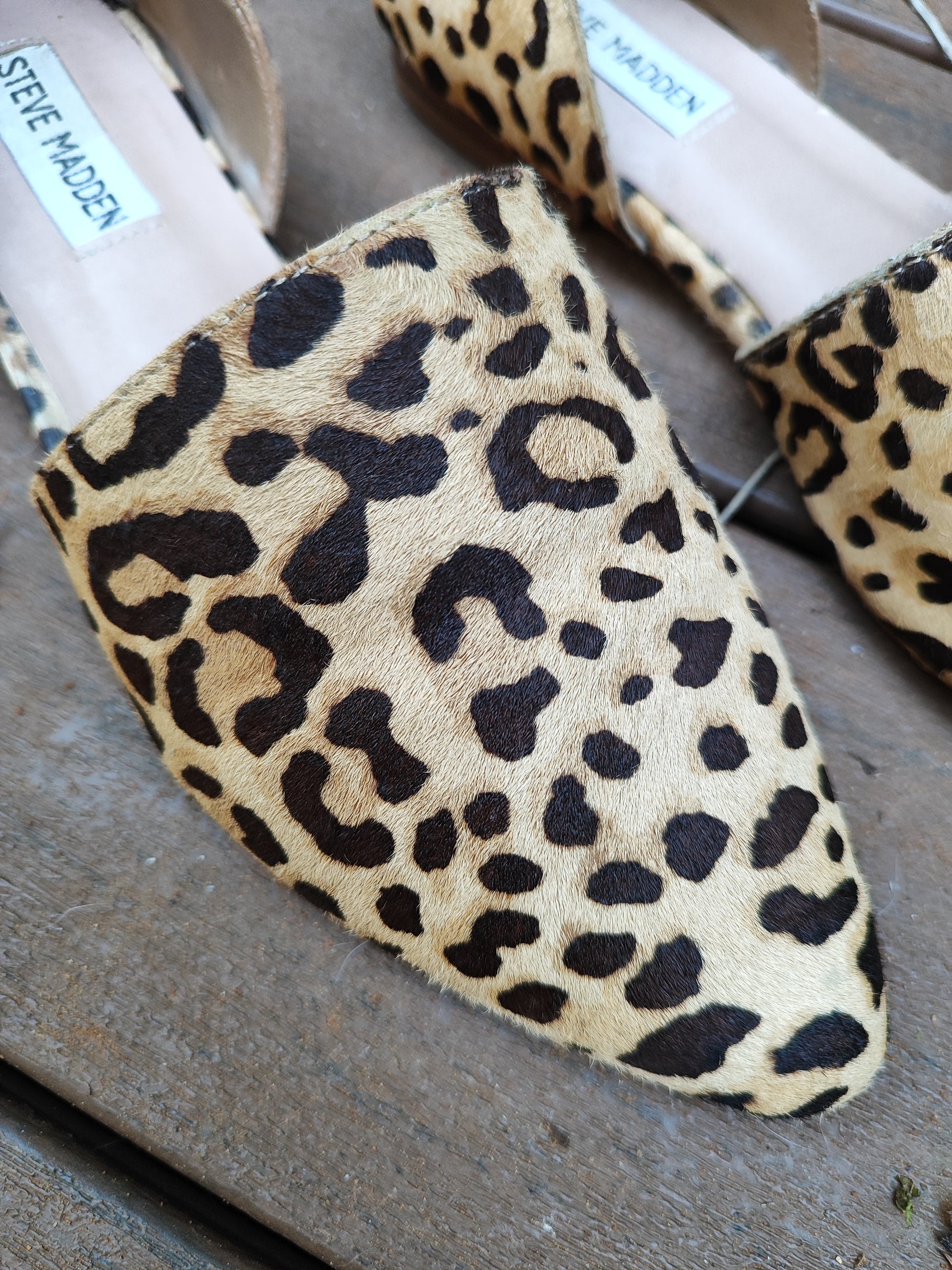 נעלים מנומרות שטוחות מאווררות באמצע - Image 6 by Steve Madden