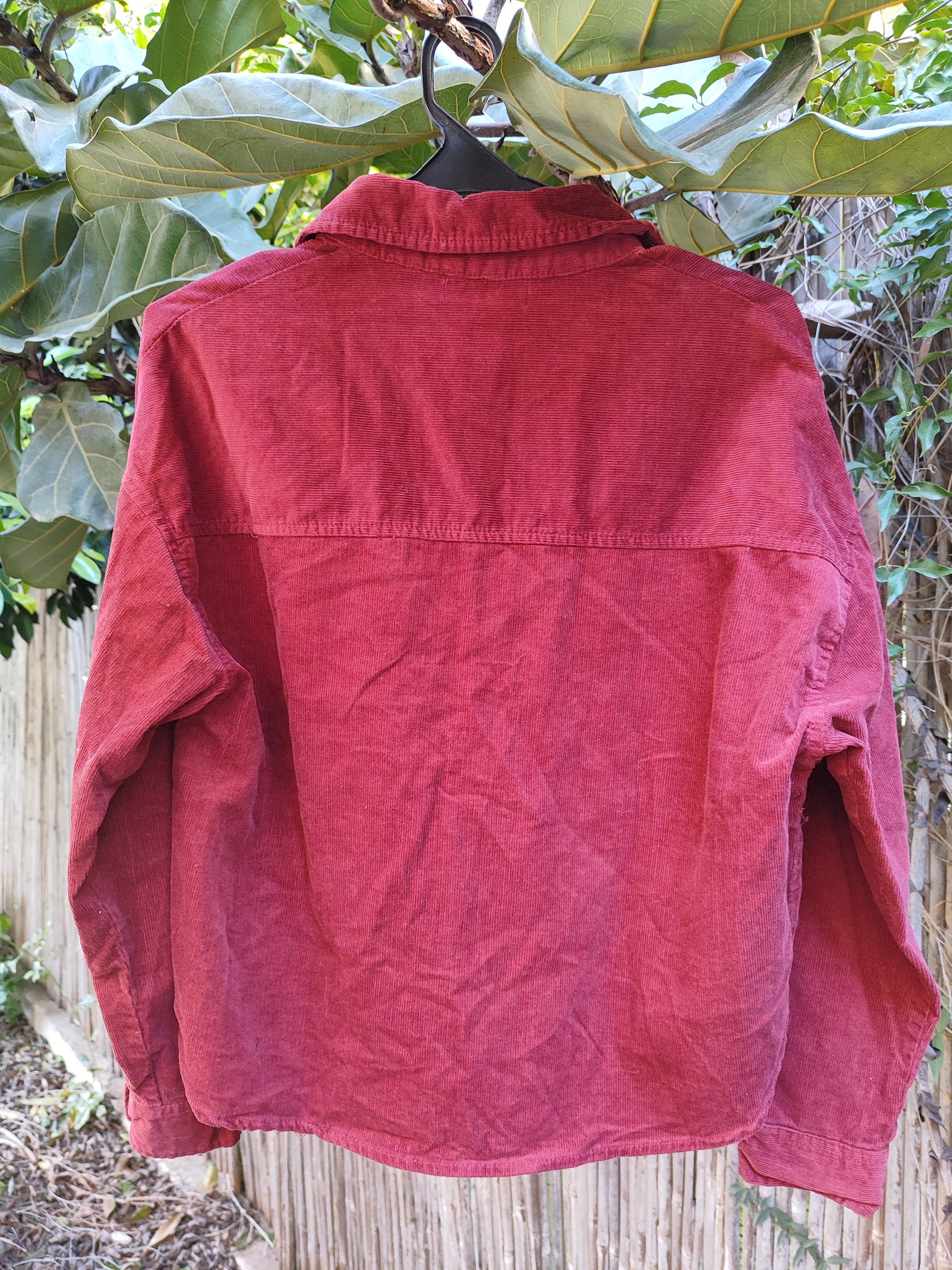 חולצת קורדרוי מכופתרת צבע יין  - Image 3 by Bershka