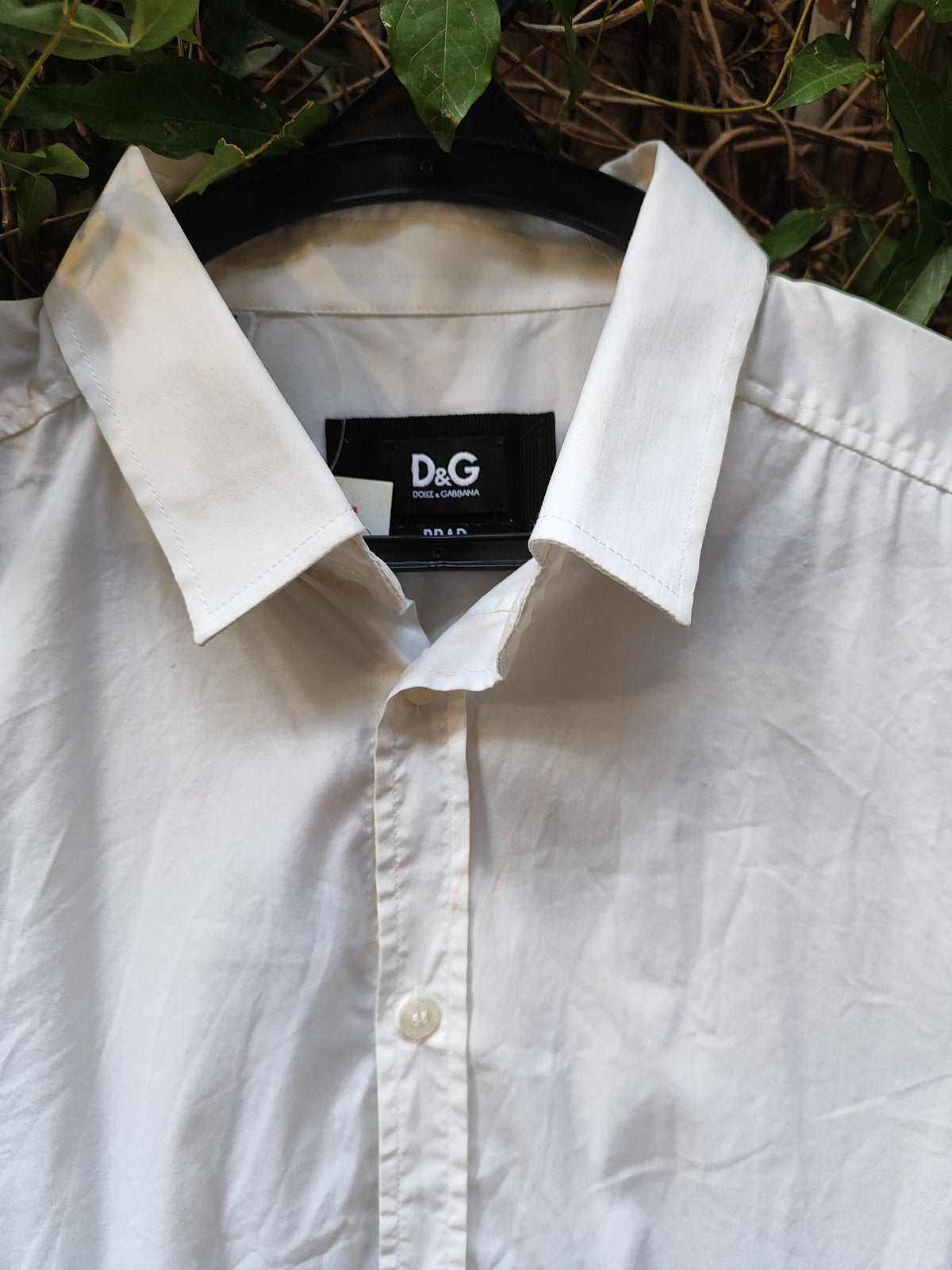 D&G חולצה קלאסית שחייבים בארון